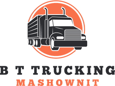 Brian & Talaya Trucking, LLC