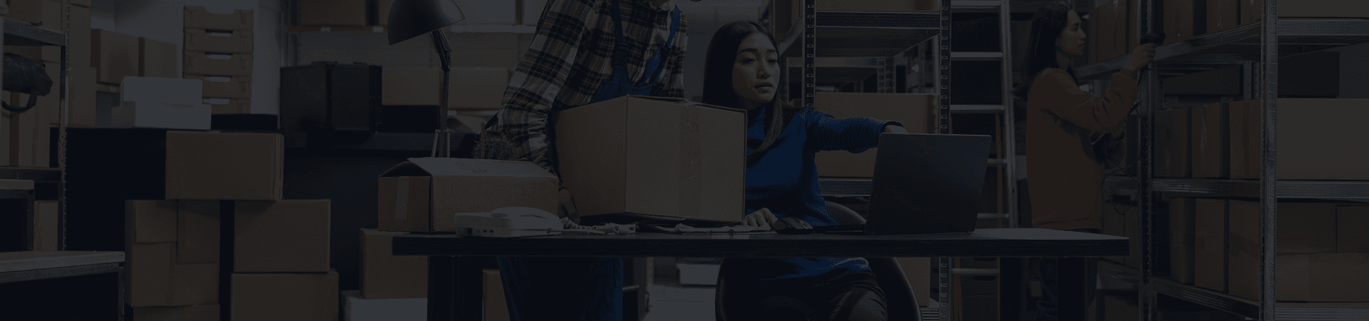 Transformation Background