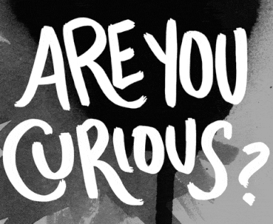 Drop, Design, And Drool Your Users With Fabulous UX/UI Skills!!