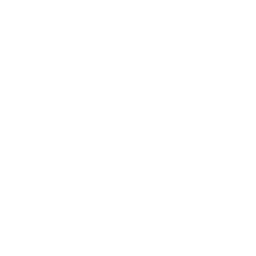 Play Button