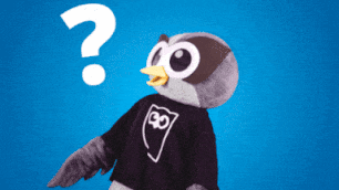 questions