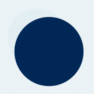 feedback